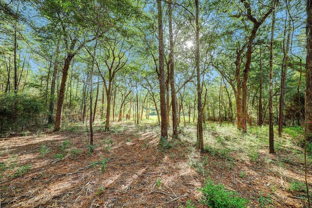 189 Rim Rock Rd, Huntsville, TX 77340