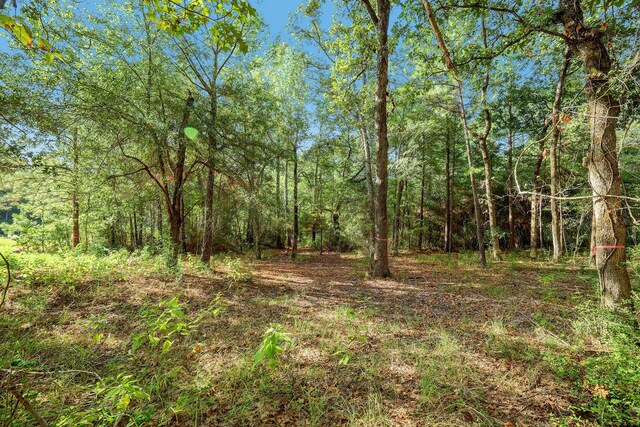 189 Rim Rock Rd, Huntsville, TX 77340