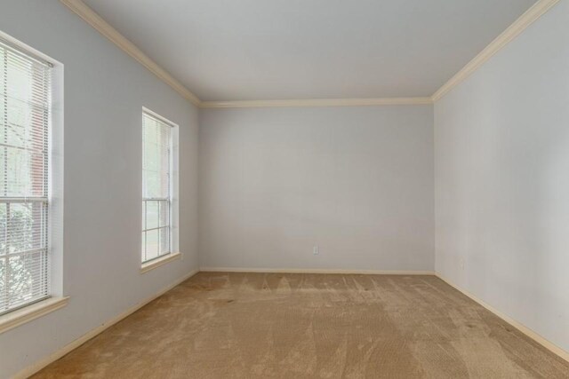 16918 Ascot Meadow Dr, Sugar Land, TX 77479 - carpeted spare room with baseboards and ornamental molding