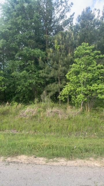 230 County Road 3413, Cleveland, TX 77327