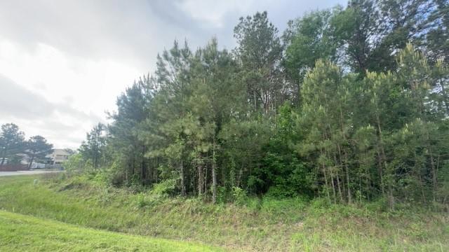 230 County Road 3413, Cleveland, TX 77327