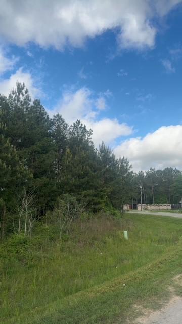 230 County Road 3413, Cleveland, TX 77327