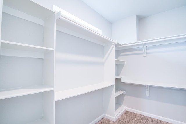6714 Scott St, Liverpool, TX 77577 - walk in closet featuring carpet flooring