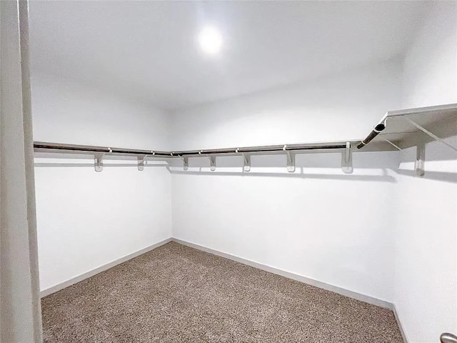 walk in closet featuring carpet