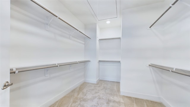 9616 Habitat St, Houston, TX 77075 - spacious closet featuring attic access and carpet flooring
