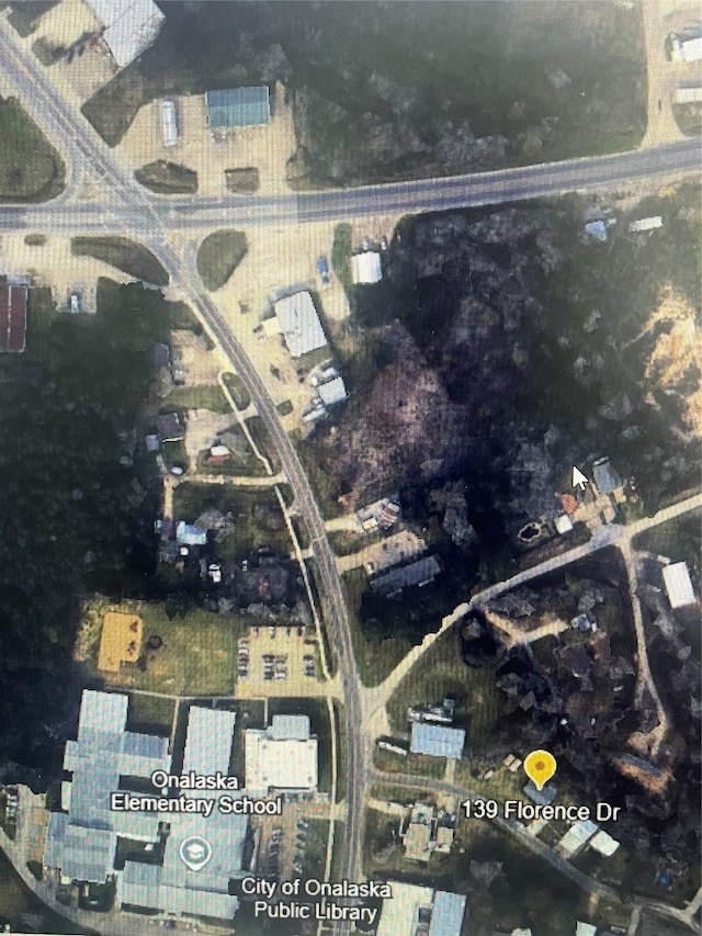 139 Florence Dr, Onalaska, TX 77360 - aerial overview of property's location
