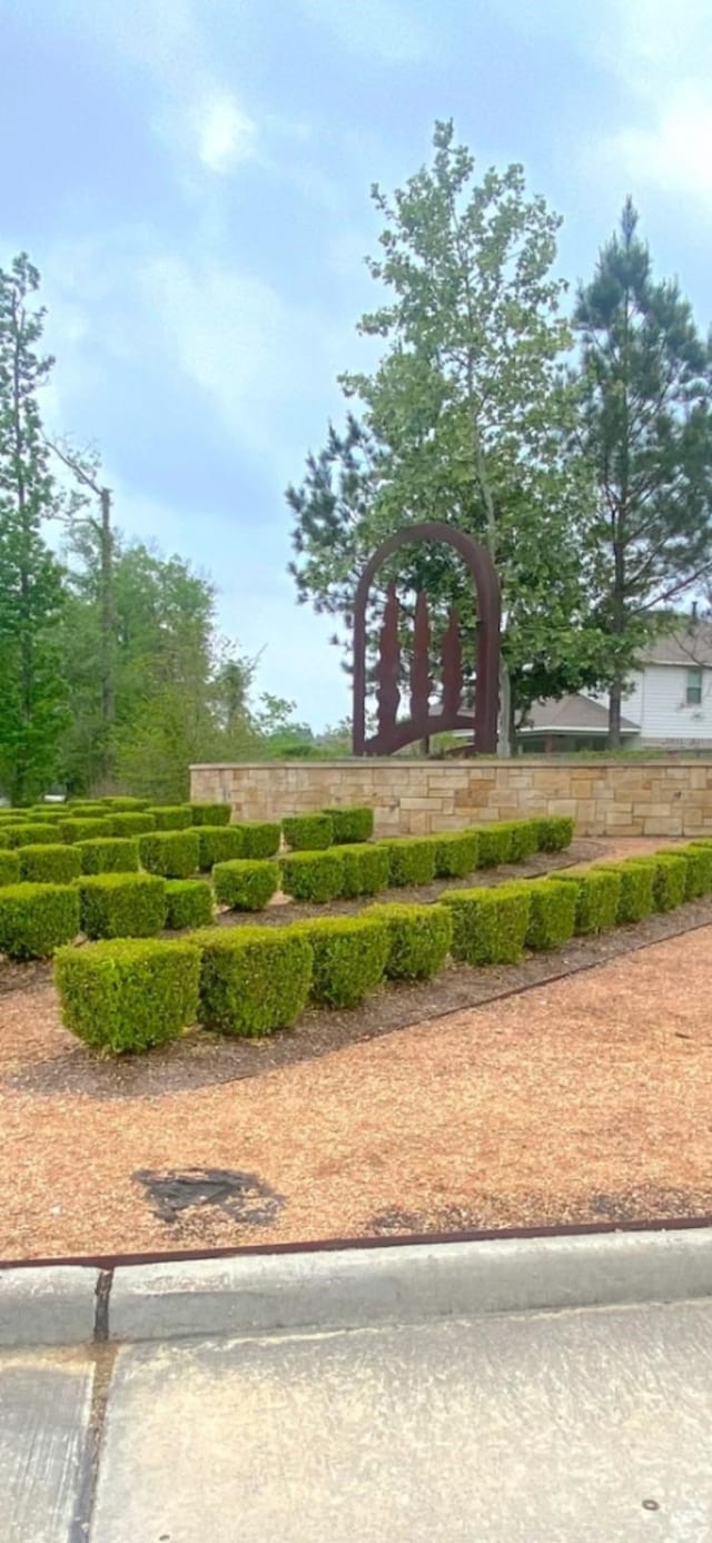 21015 Longeni Dr, New Caney, TX 77357 - view of community