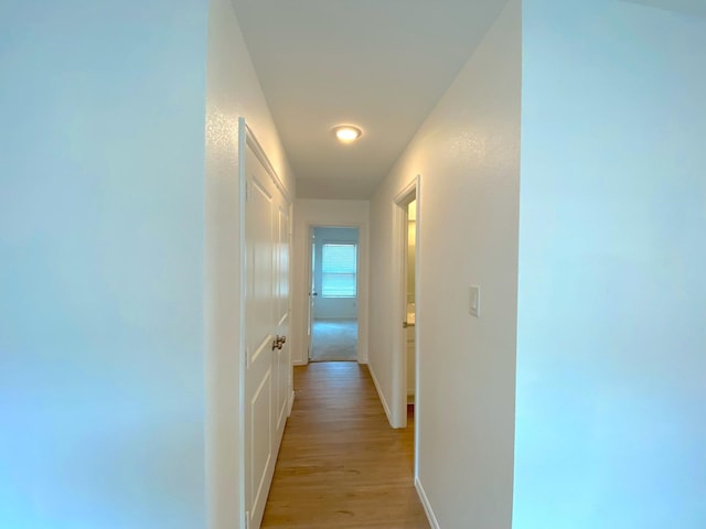 21015 Longeni Dr, New Caney, TX 77357 - hall with light wood finished floors and baseboards