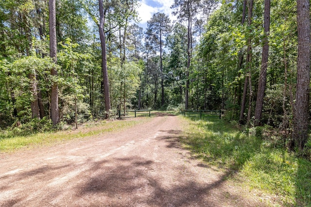 TBD N Butch Arther Rd, Coldspring, TX 77331