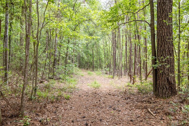TBD N Butch Arther Rd, Coldspring, TX 77331