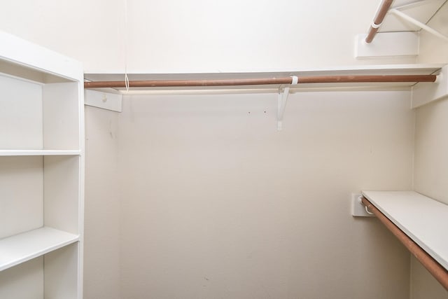 2918 Manila Ln, Houston, TX 77043 - view of spacious closet