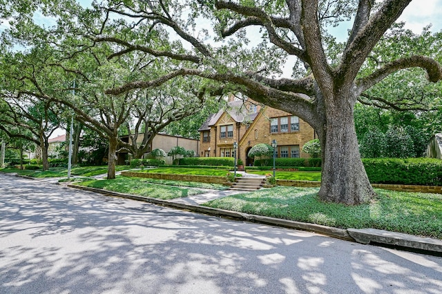 english style home featuring a front lawn