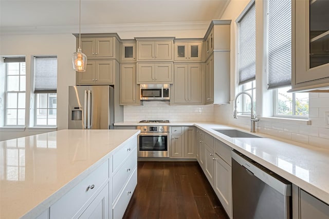 5101 Allen St, Houston, TX 77007 - kitchen featuring stainless steel appliances, crown molding, a sink, dark wood-style floors, and glass insert cabinets