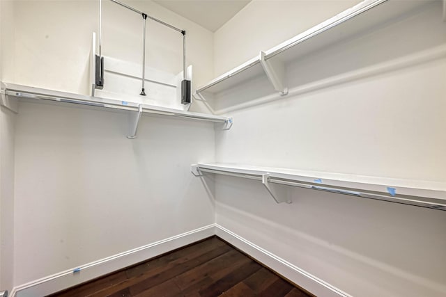 5101 Allen St, Houston, TX 77007 - spacious closet with dark wood-type flooring