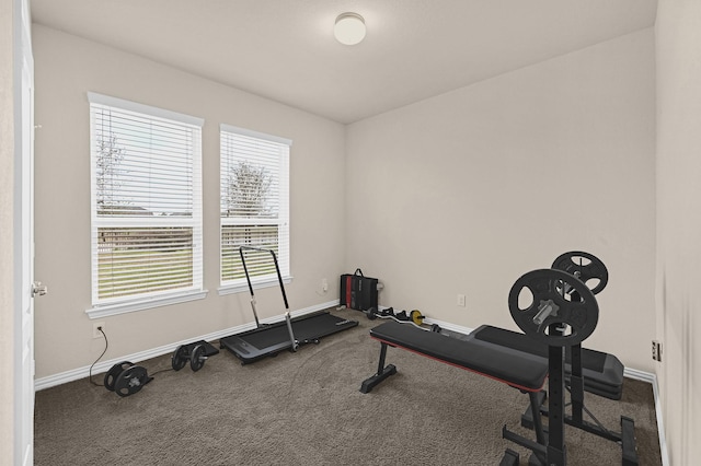 workout area featuring baseboards and carpet floors