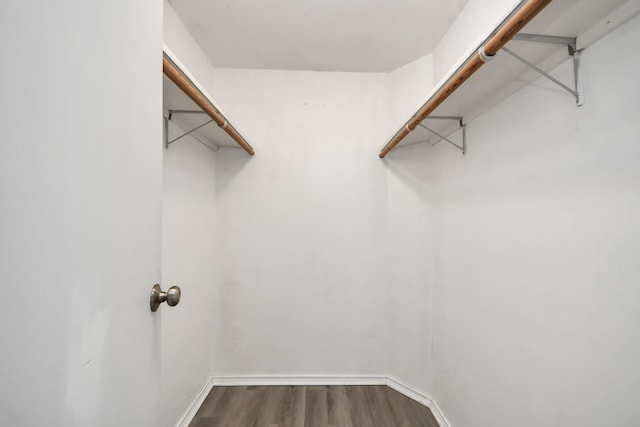 3810 Peters San Felipe Rd, Sealy, TX 77474 - spacious closet featuring dark wood finished floors