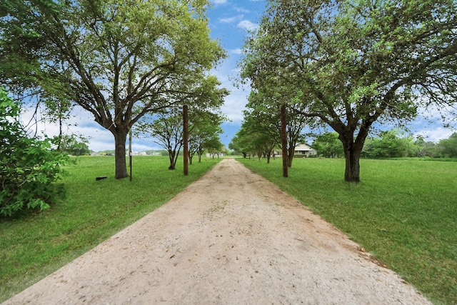 3810 Peters San Felipe Rd, Sealy, TX 77474 - view of street