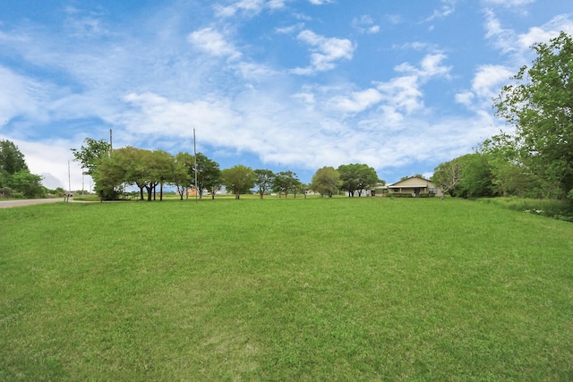 3810 Peters San Felipe Rd, Sealy, TX 77474 - view of yard