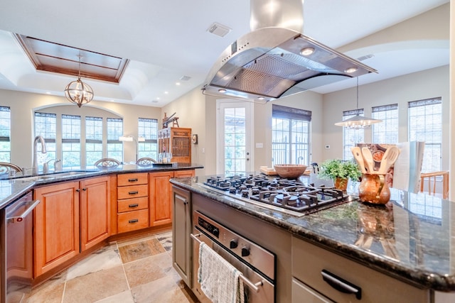 kitchen with a sink, island range hood, appliances with stainless steel finishes, a chandelier, and healthy amount of natural light