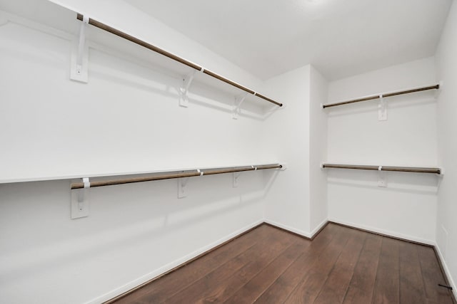 walk in closet with dark wood-style floors