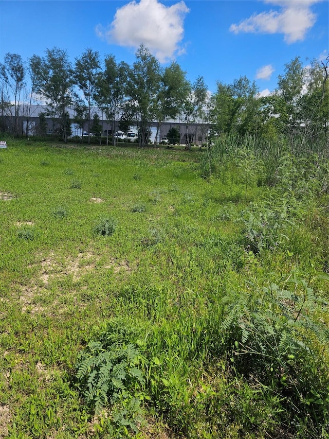 010 Booker Rd, Spring, TX 77373 - photo 3