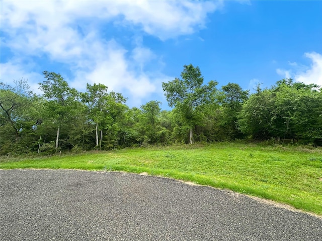00 Fm 1155, Washington, TX 77880