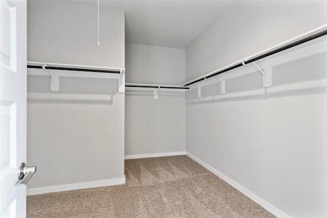 walk in closet featuring carpet flooring and attic access