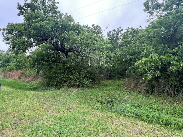 0 S Shady Glen Dr, Anahuac, TX 77514 - photo 2