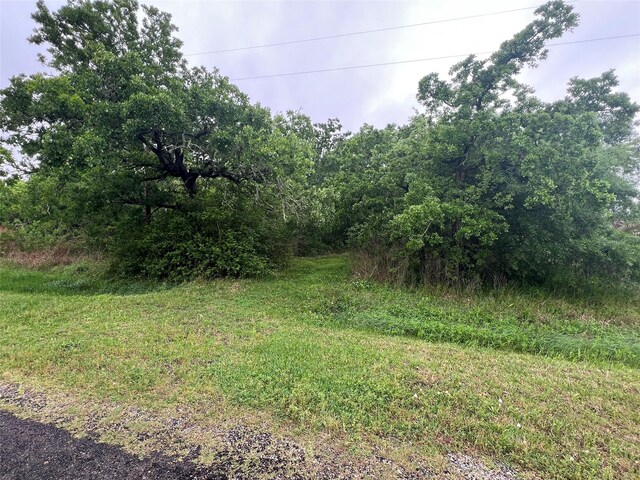 0 S Shady Glen Dr, Anahuac, TX 77514 - photo 3