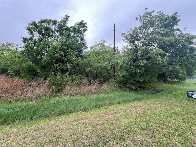 0 S Shady Glen Dr, Anahuac, TX 77514 - photo 4