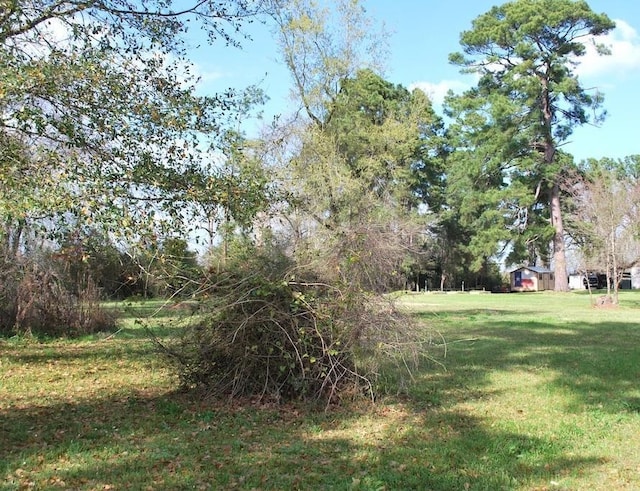 0 E Oakridge Dr, Point Blank, TX 77364 - photo 3