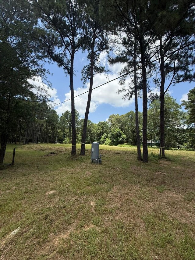 25137 Little John Cir, Hockley, TX 77447 - view of grassy yard