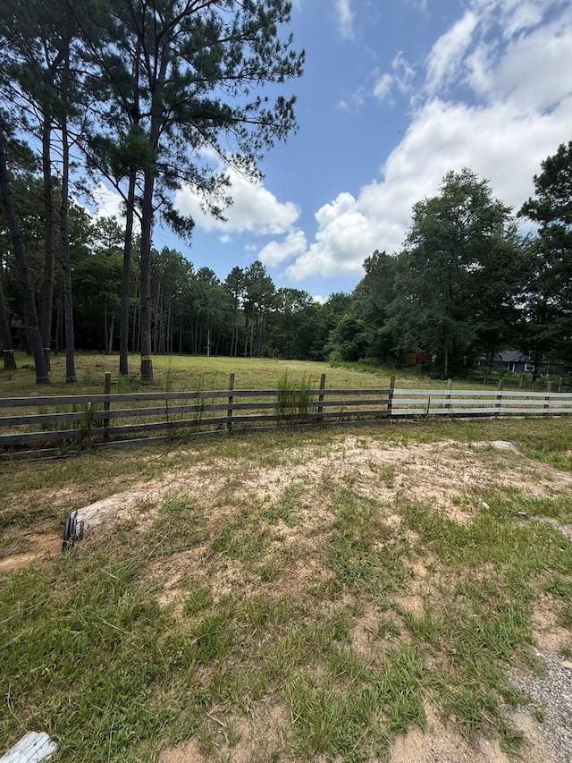 25137 Little John Cir, Hockley, TX 77447 - view of yard with a view of countryside