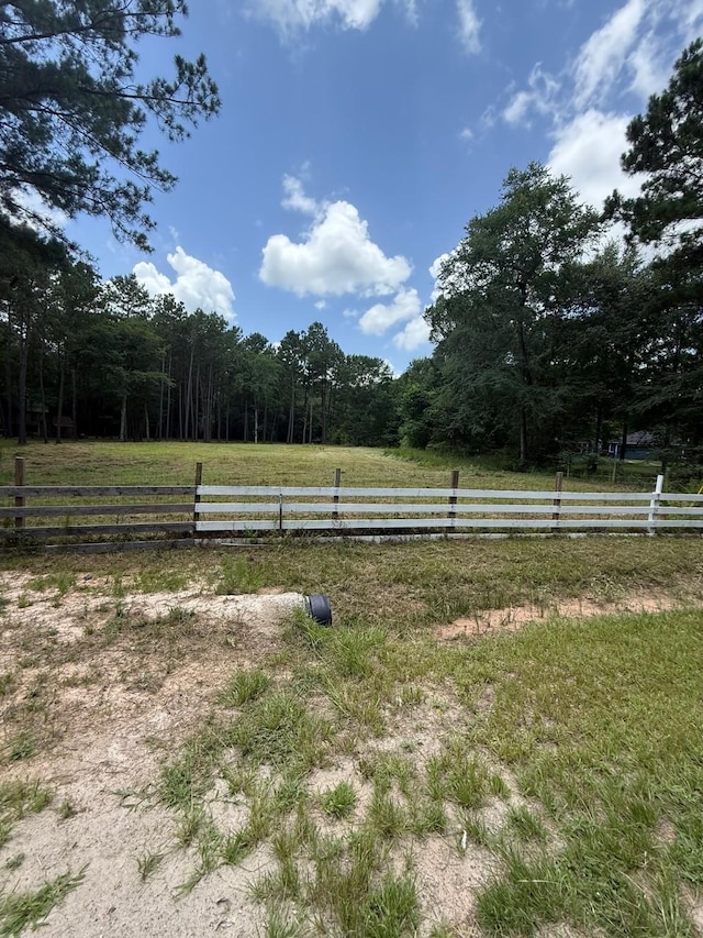 25137 Little John Cir, Hockley, TX 77447 - view of yard with a view of rural / pastoral area and a forest view