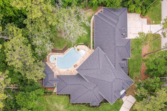 bird's eye view