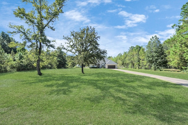 view of yard featuring driveway and an attached garage