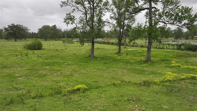 1244 County Road 332, Cleveland, TX 77327 - photo 6