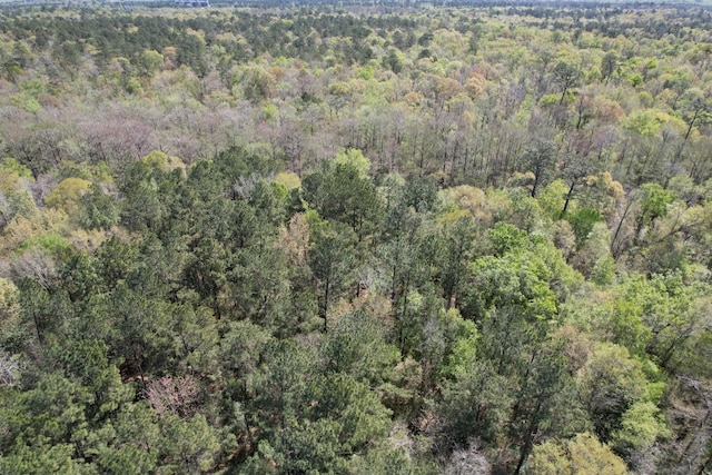 TBD County Road 4219, Orange, TX 77632 - photo 3