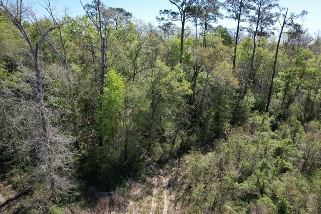 TBD County Road 4219, Orange, TX 77632 - photo 7