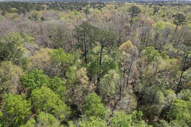 TBD County Road 4219, Orange, TX 77632 - photo 8