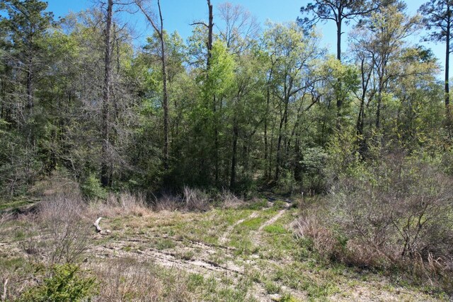 TBD County Road 4219, Orange, TX 77632 - photo 9