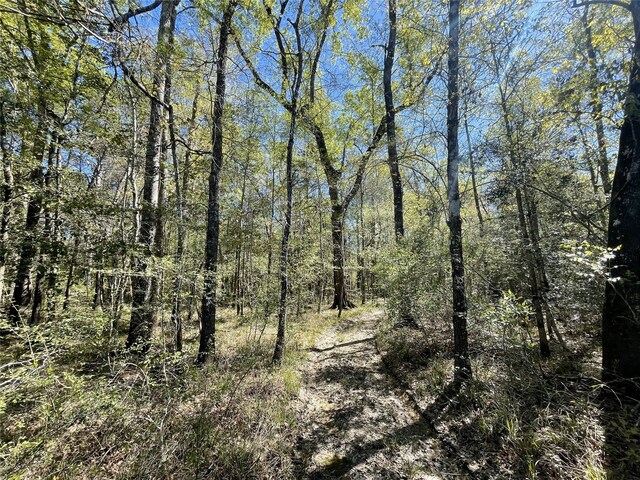 TBD County Road 4219, Orange, TX 77632 - photo 10