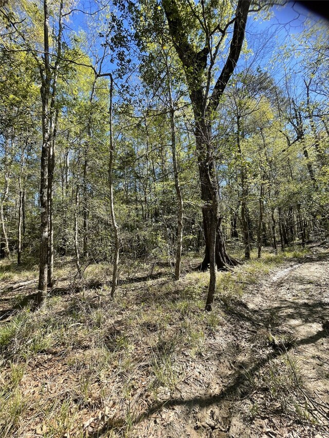 TBD County Road 4219, Orange, TX 77632 - photo 11