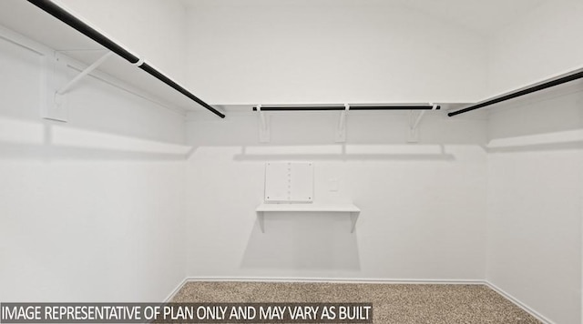 spacious closet featuring carpet flooring