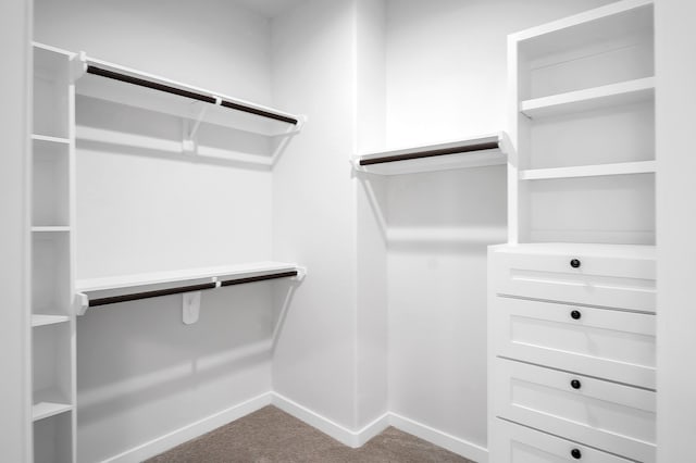walk in closet featuring dark colored carpet