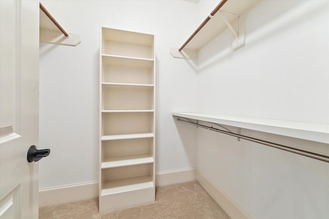 walk in closet featuring light colored carpet