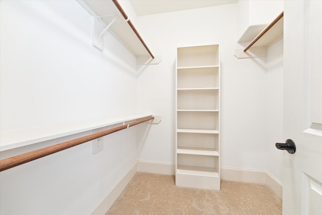 view of walk in closet