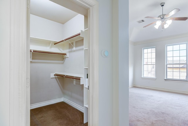5976 Kansas St, Houston, TX 77007 - spacious closet with carpet floors and a ceiling fan