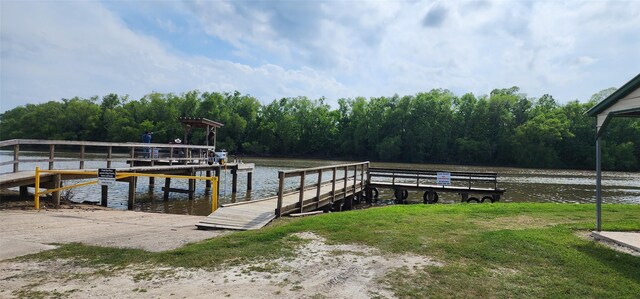 101 Tony Ln, Huntsville, TX 77320 - view of dock with a water view and a view of trees