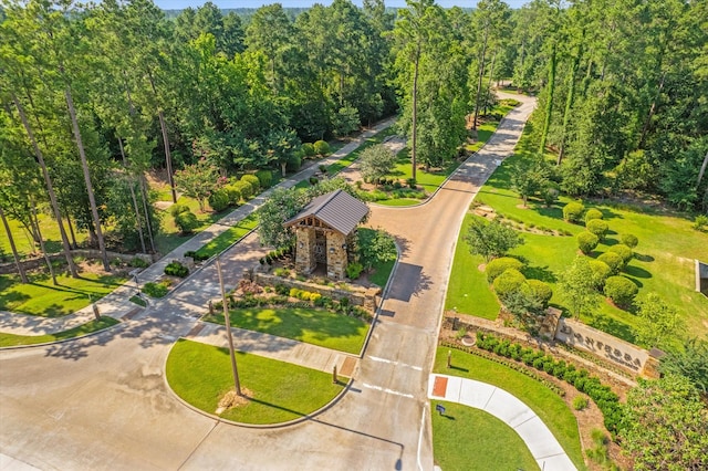137 Gray Vervain Ct, Montgomery, TX 77316 - birds eye view of property